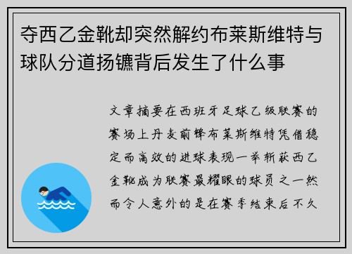 夺西乙金靴却突然解约布莱斯维特与球队分道扬镳背后发生了什么事 夺西乙金靴却突然解约布莱斯维特与球队分道扬镳背后发生了什么事