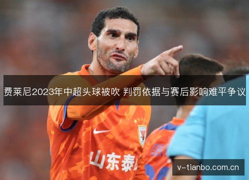 费莱尼2023年中超头球被吹 判罚依据与赛后影响难平争议